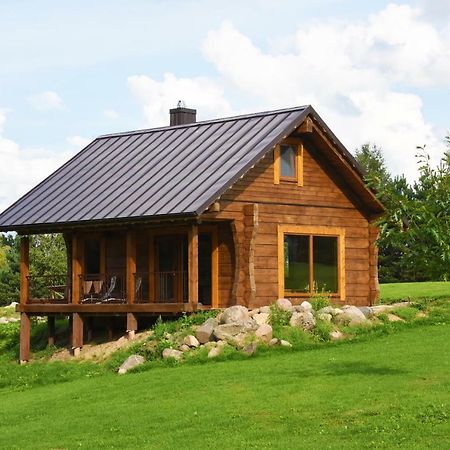 Vip Forest dreams villa Anykščiai Eksteriør billede