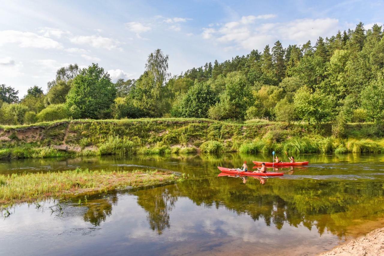 Vip Forest dreams villa Anykščiai Eksteriør billede