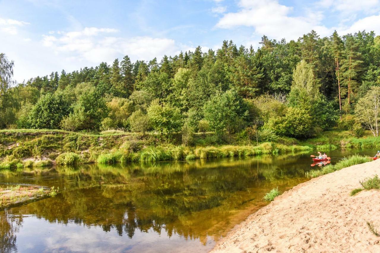 Vip Forest dreams villa Anykščiai Eksteriør billede