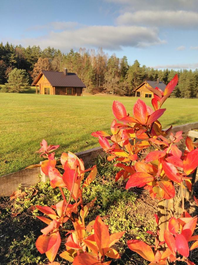 Vip Forest dreams villa Anykščiai Eksteriør billede