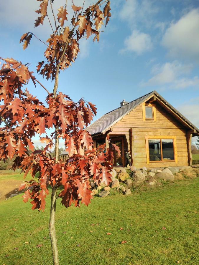 Vip Forest dreams villa Anykščiai Eksteriør billede
