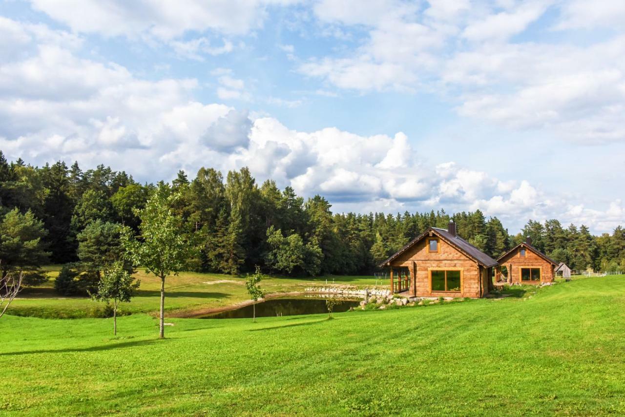 Vip Forest dreams villa Anykščiai Eksteriør billede